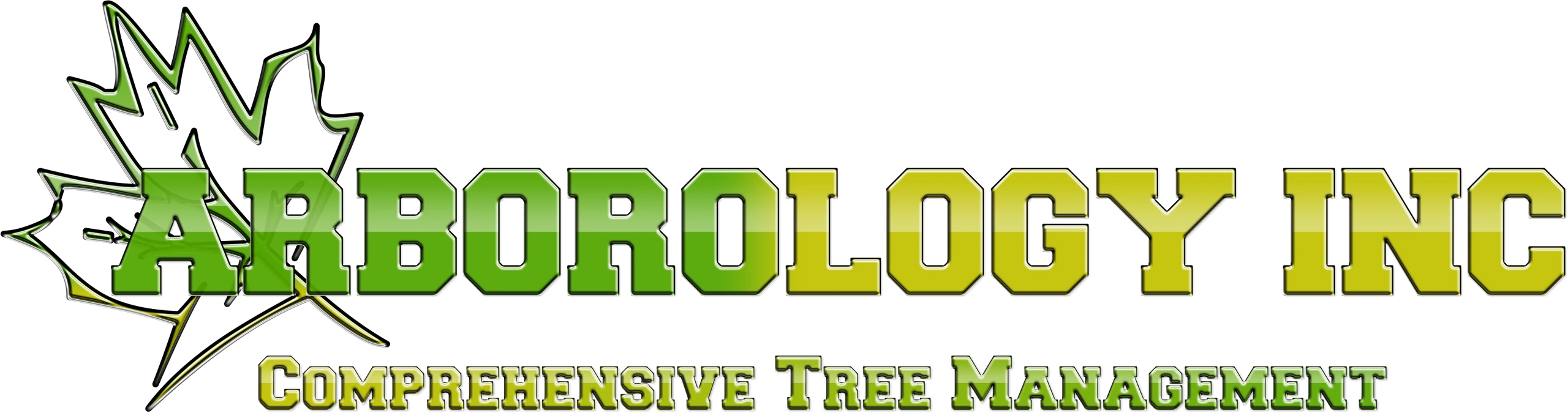 Arborology Inc Certified Arborist, Tree Doctor
